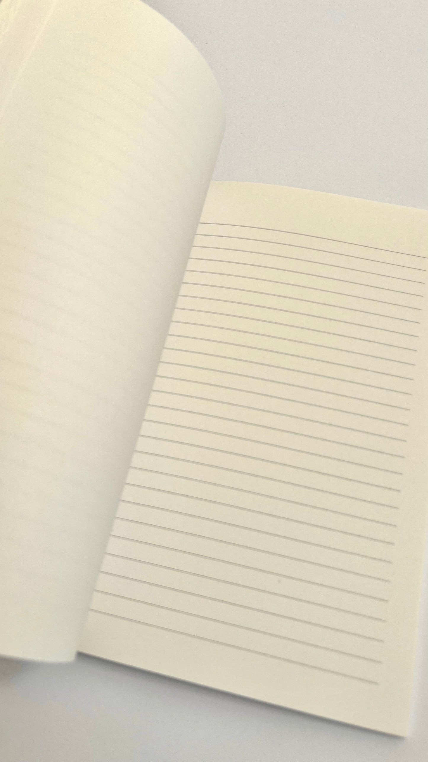 Green Striped Plain and Ruled Notebook